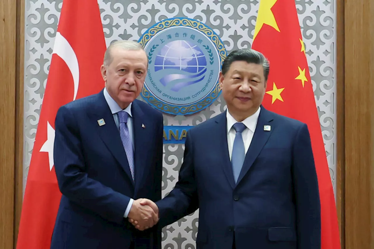 Turkiet vill bli medlem i Kina-ledd organisation - Erdogan: 'Vi vill vidareutveckla våra relationer med Ryssland'