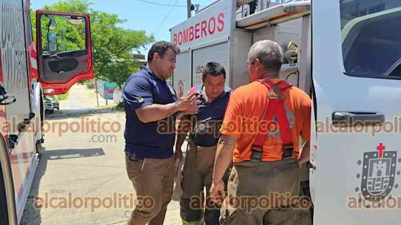 Incrementan ataques de abejas en Coatzacoalcos: Bomberos