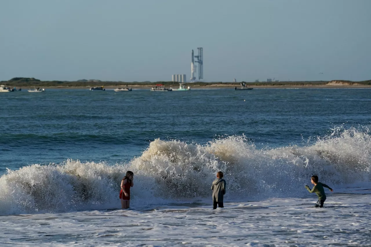 Texas shark attacks injure several people at South Padre Island on 4th of July