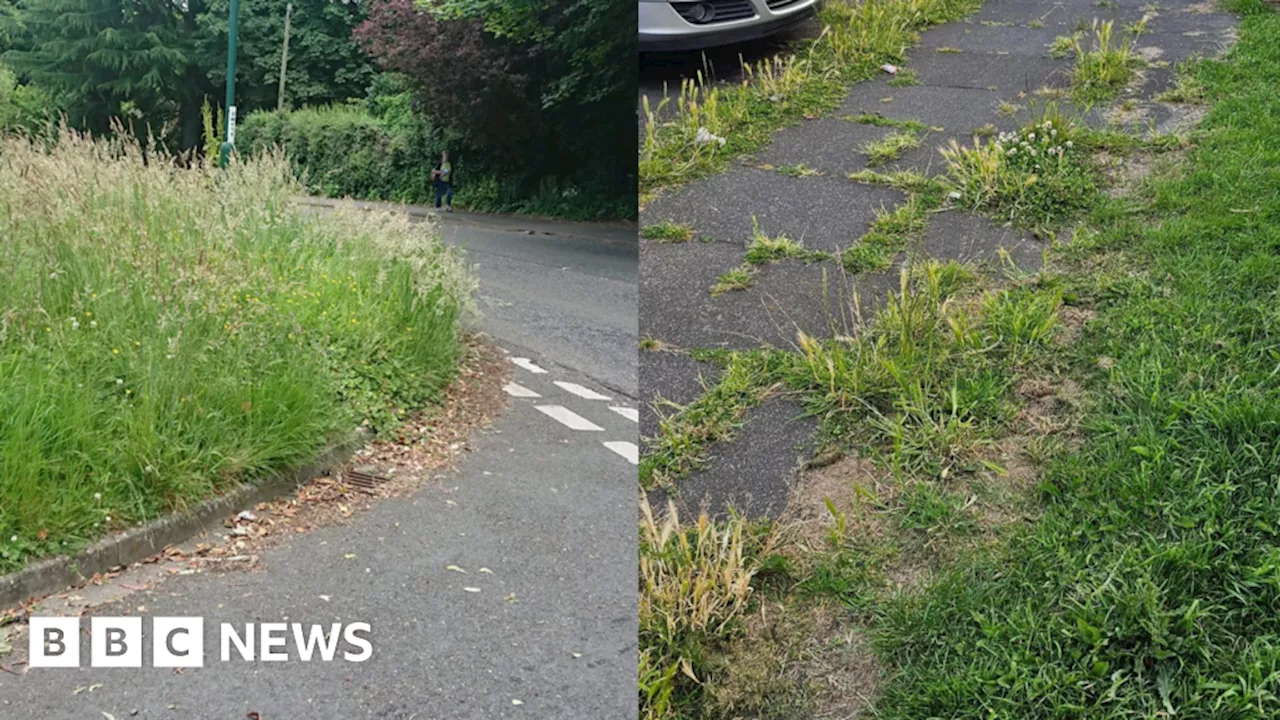 Redcar and Cleveland residents frustrated over grass cut delays