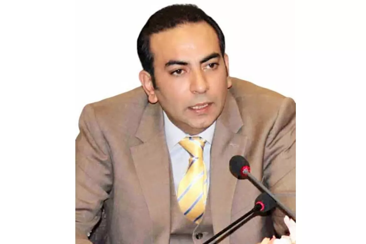 Federal Government should cancel all contracts with IPPs: Atif Ikram Sheikh