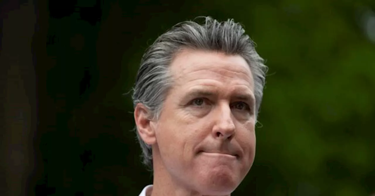 Gavin Newsom Tells Skeptical Michigan Democrats to Stick with Biden