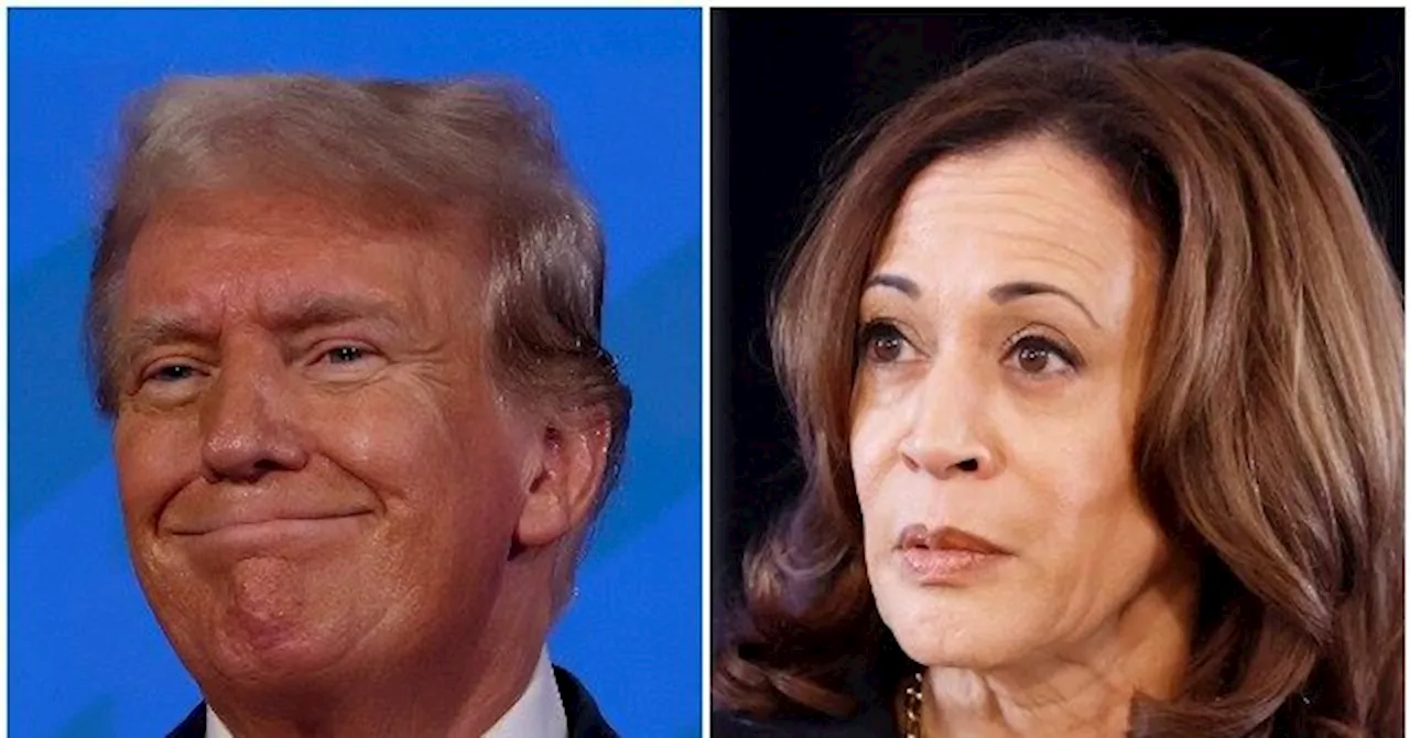 Poll: Donald Trump Leads Kamala Harris By More than He Leads Joe Biden