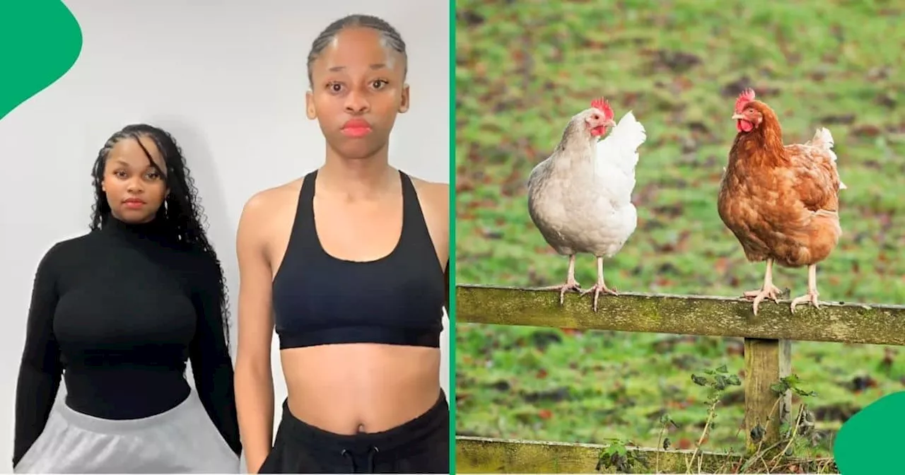 2 Young Women Hilariously Confront Their Fear of Live Chicken in Viral TikTok Video