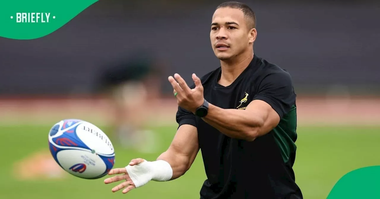 Cheslin Kolbe Said the Springboks Are Confident Ahead of Their Anticipated Clash Against Ireland