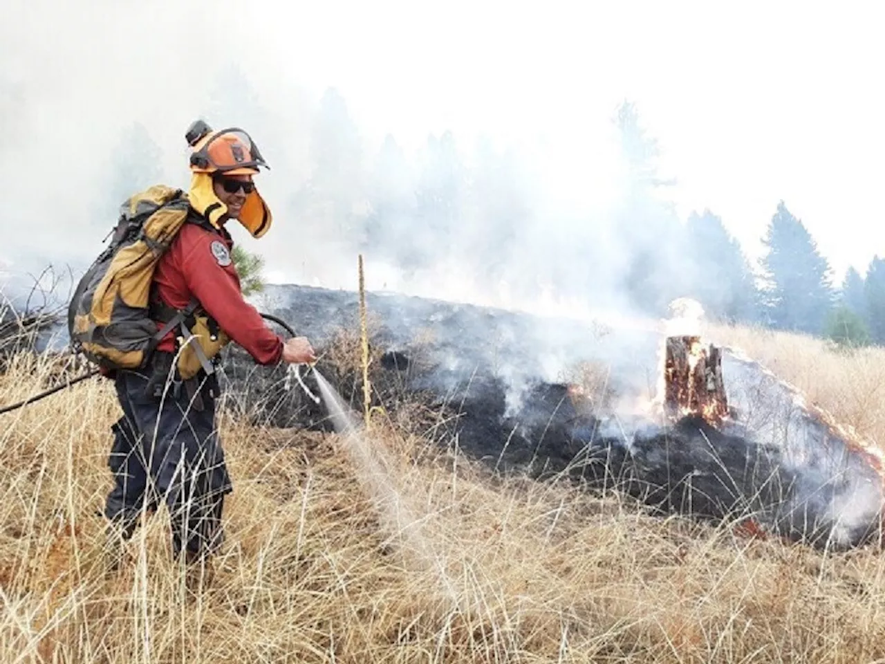 More crews on standby, campfire ban considered with heat wave looming: BCWS