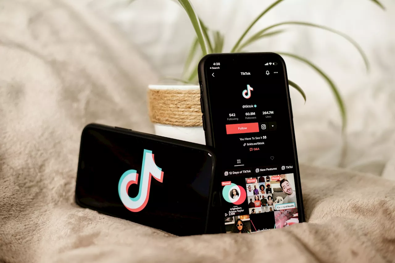 Un célèbre influenceur dévoile comment devenir riche sur Tiktok, tout repose sur une décision cruciale