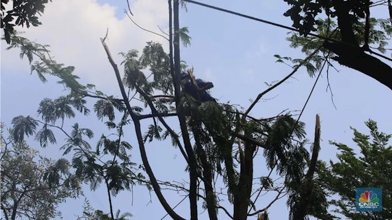 Heboh Fenomena Hujan Es di Depok, BMKG Ungkap Faktanya