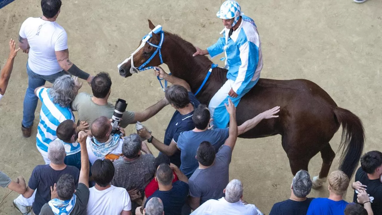 Il mistero del Palio di Siena, da 70 anni anche in diretta tv