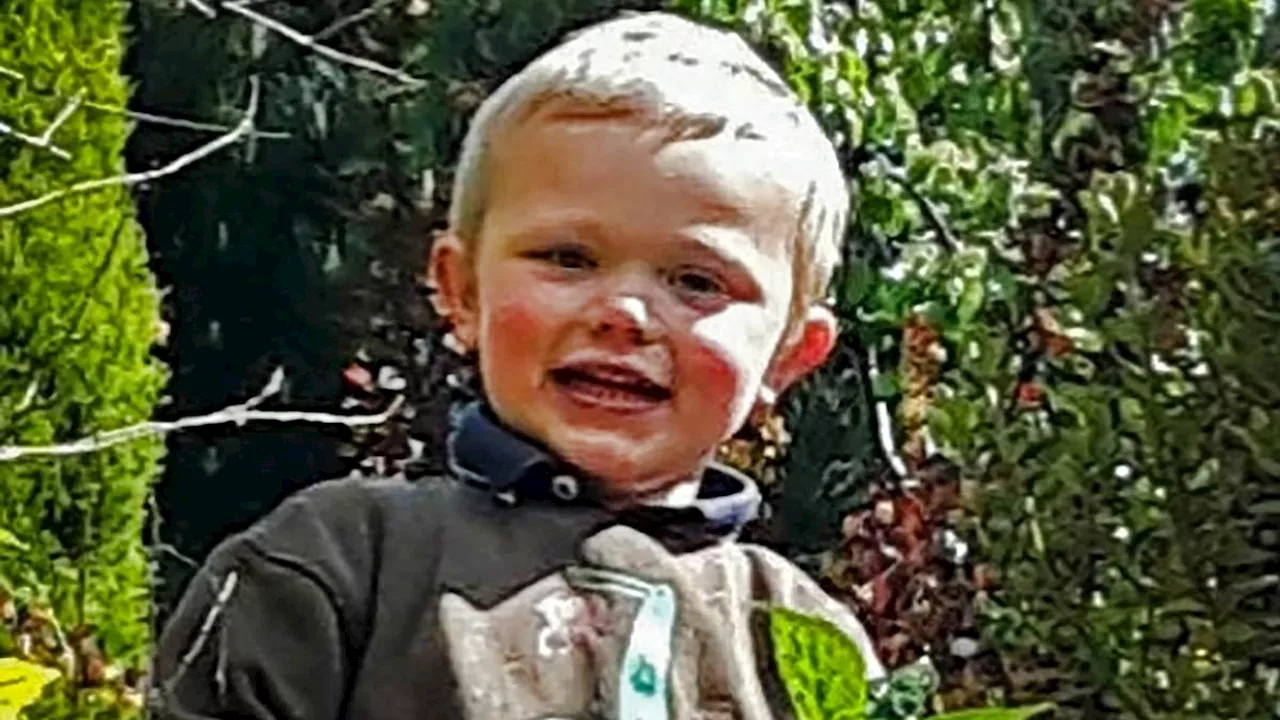 Mother and father are charged with gross negligence manslaughter after their son, three, was mauled...