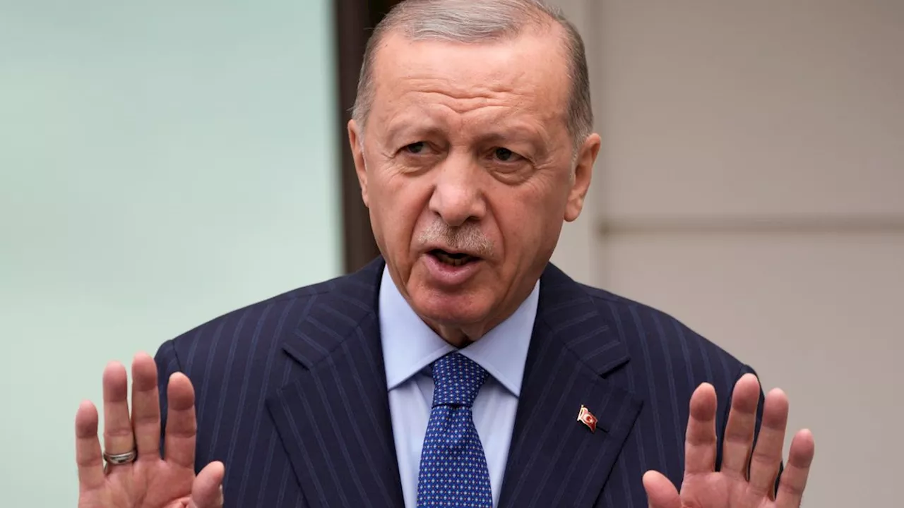 Türkischer Präsident über Skandalgeste: Erdoğan verteidigt Demirals »Wolfsgruß«-Jubel