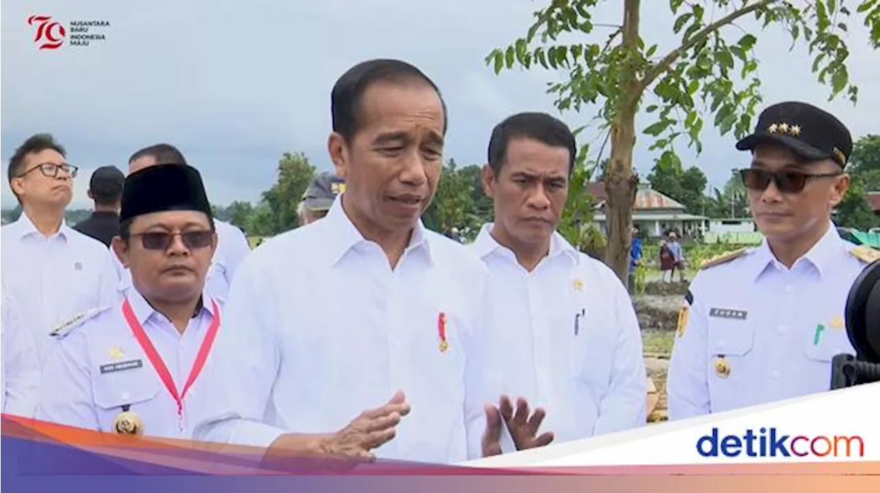 Jokowi Senang Harga Cabai-Bawang di Bulukumba Lebih Murah dari Jawa