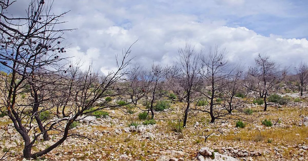 Europa meridionale e ondate di calore, esperti preoccupati