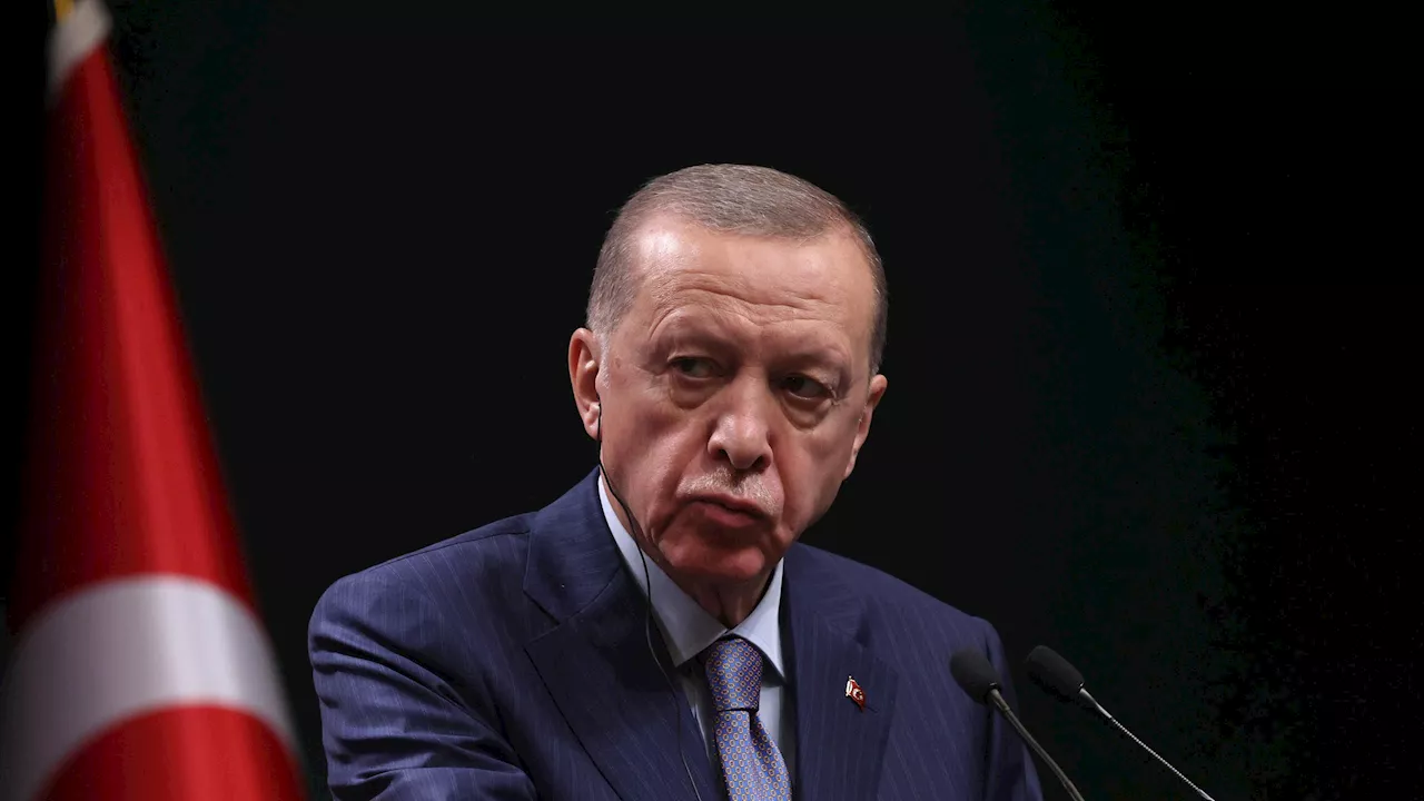 EM 2024: Wolfsgruß-Debatte schlägt hohe Wellen - klares Signal von Türkei-Präsident Erdogan gefordert