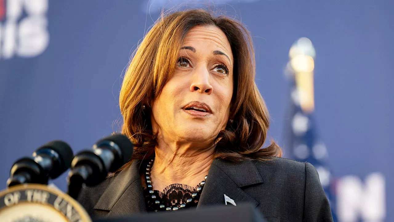 Democratic congressman warns dissing Kamala as Biden replacement would be 'kiss of death' for Democratic Party