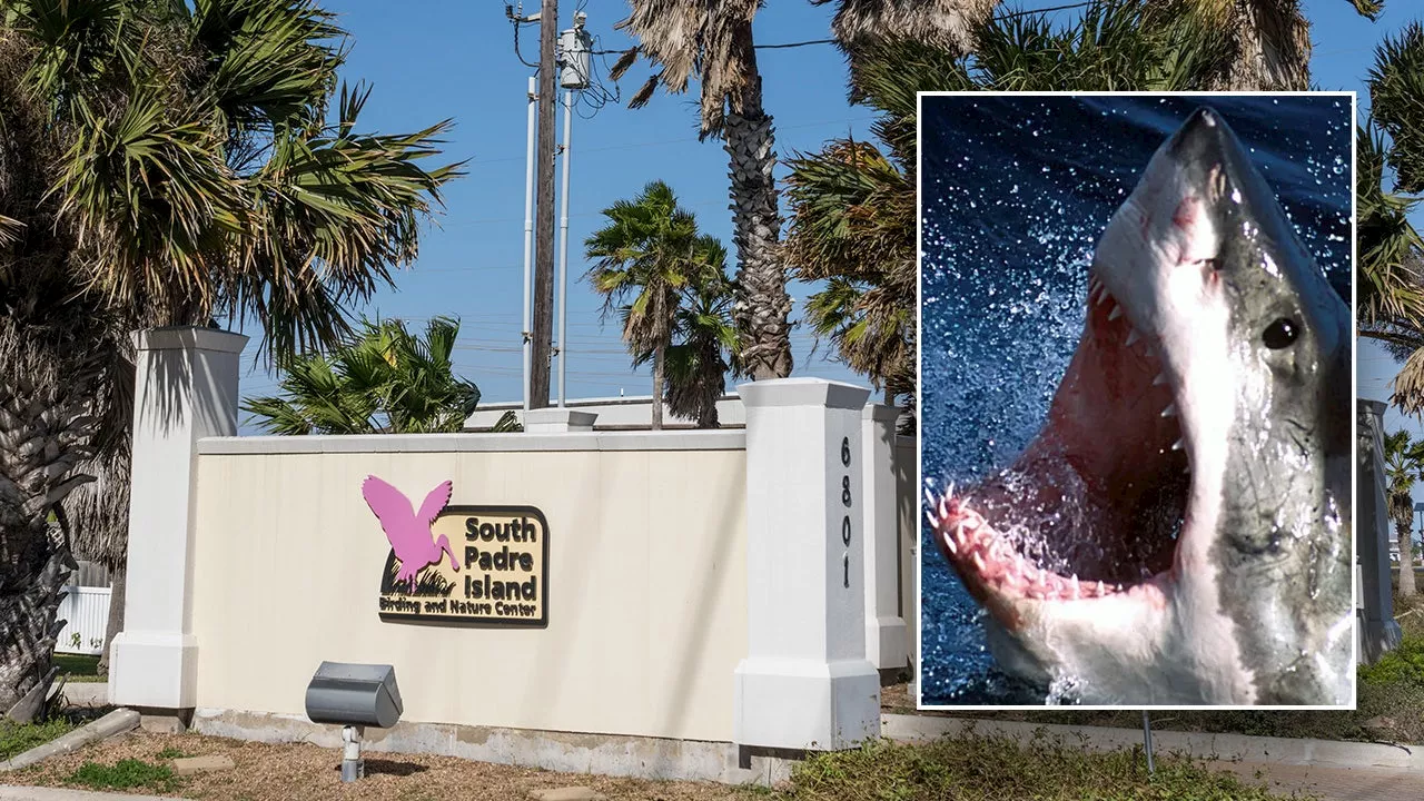 Shark attacks 4 people at Texas beach on Fourth of July: police