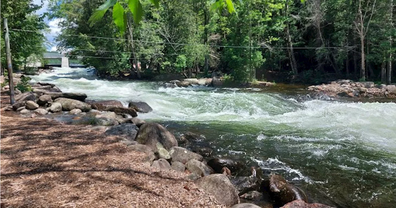 Off-duty firefighter helps rescue woman after fall into river in Minden, Ont.: police