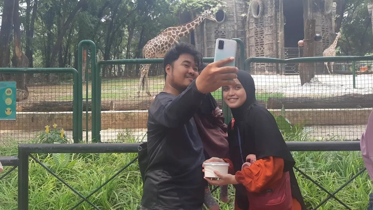 Tetap Buka Saat Tahun Baru, Ragunan Gelar ”Keeper Talk and Feeding Time”