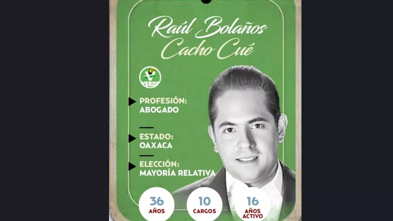 ¿¿Quién es Raúl Bolaños-Cacho Cué, conoce al próximo diputado?