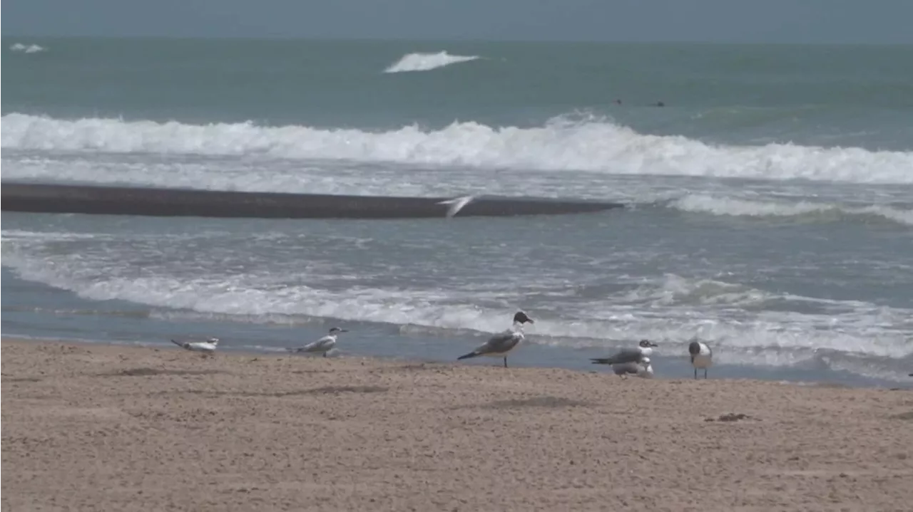 Shark attack on South Padre Island leaves several people hurt on Fourth of July