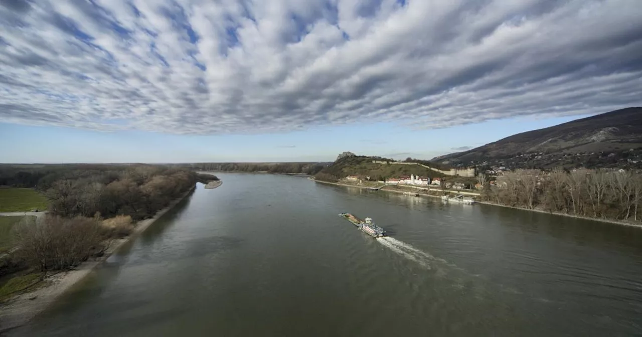 Renaturierung: Die Donau bekommt ihren Arm zurück