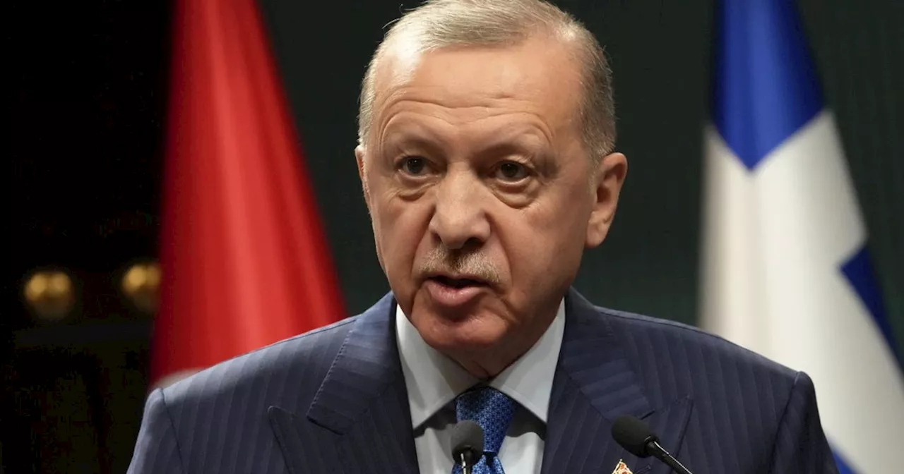 Euro 2024, Erdogan sugli spalti per Turchia-Olanda: &#034;Lupi Grigi&#034;, il caso deflagra