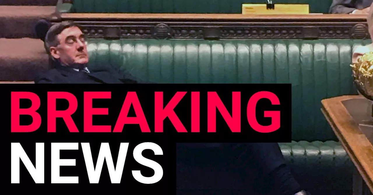 Jacob Rees Mogg loses seat in General Election giving him more time to lounge around