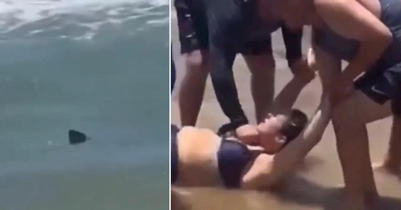 Terrified beachgoers drag bleeding woman away from stalking shark