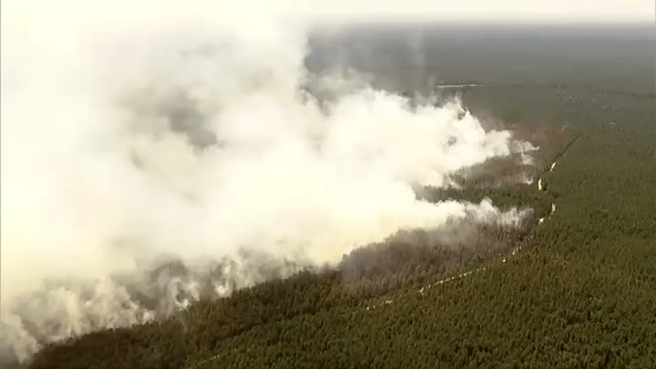 Wildfire engulfs 100 acres of New Jersey's Wharton State Forest