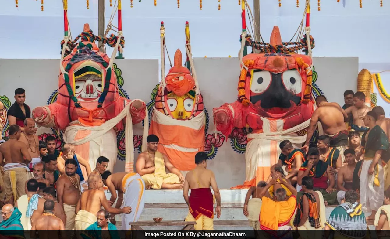 Jagannath Rath Yatra: किस दिन से शुरू हो रही है जगन्नाथ यात्रा, जानिए भगवान जगन्नाथ के रथ से जुड़ी कुछ खास बातें&nbsp;