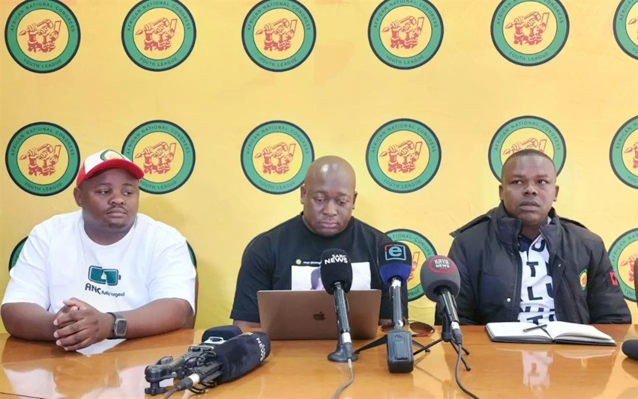 ANCYL in Gauteng cautions Premier Panyaza Lesufi against 'silent coup'