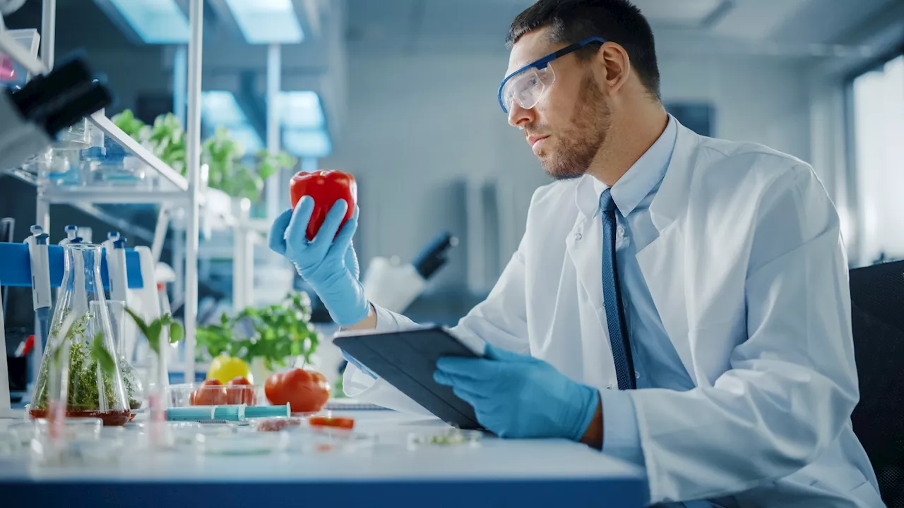 Biomarkers of food intake: The key to precision nutrition