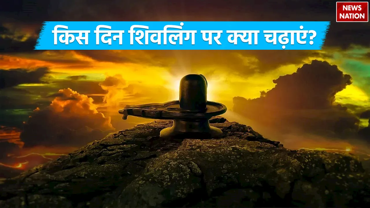 Lord Shiva: करना है शिव जी को प्रसन्न? तो वार के हिसाब से शिवलिंग पर चढ़ाएं ये चीजें