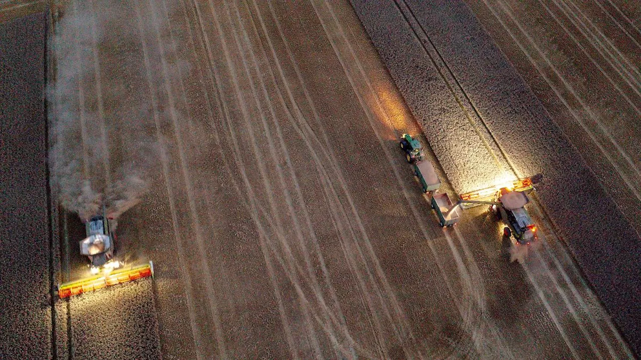 Mecklenburg-Vorpommern: Immer weniger Beschäftigte in der Landwirtschaft in MV