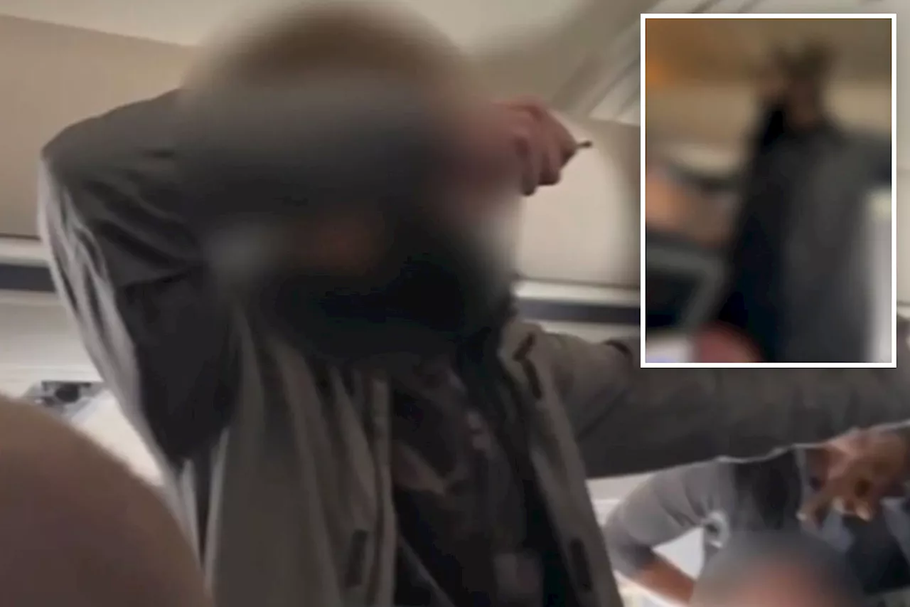 Major United in-flight attack could have been avoided if air marshals weren't babysitting migrants at border, union says: 'Worst fears coming true'