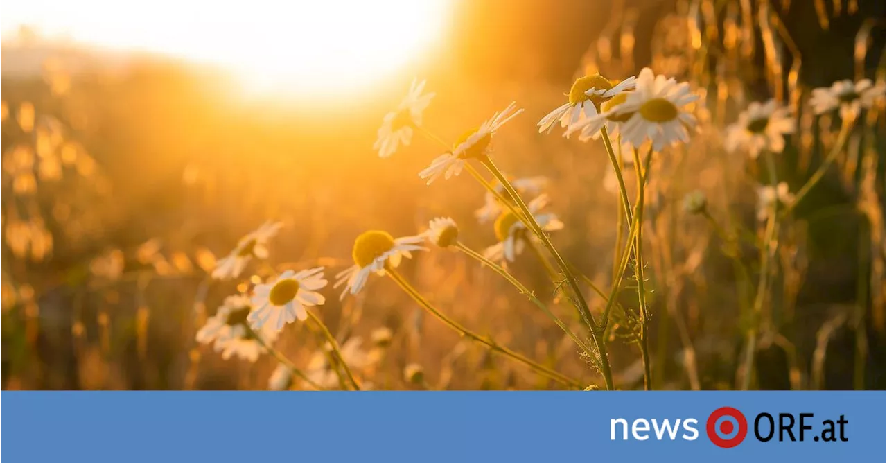 Ferienwetter: Mal heiß, mal nass