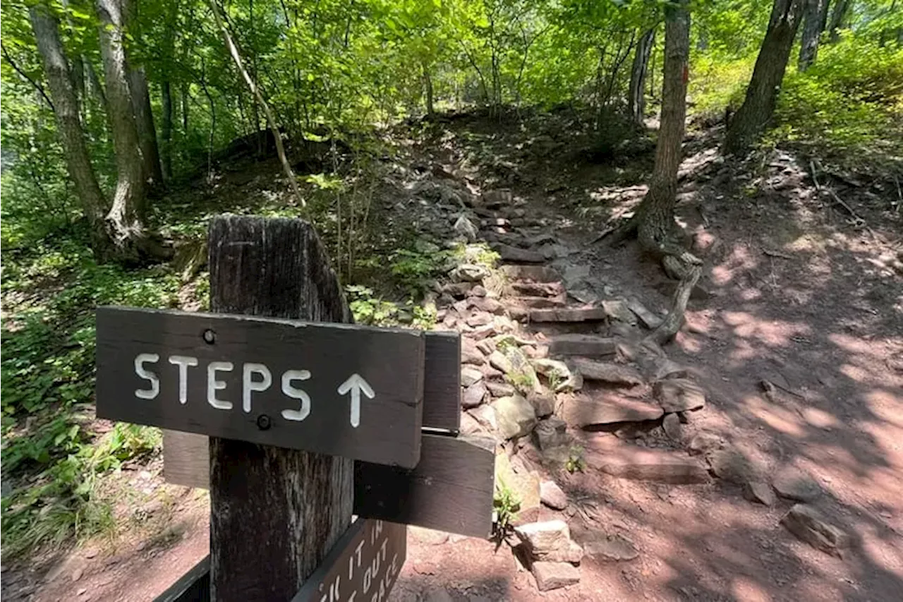 Hate yourself and want to suffer? Hike Pennsylvania’s ‘1000 Steps’ trail.