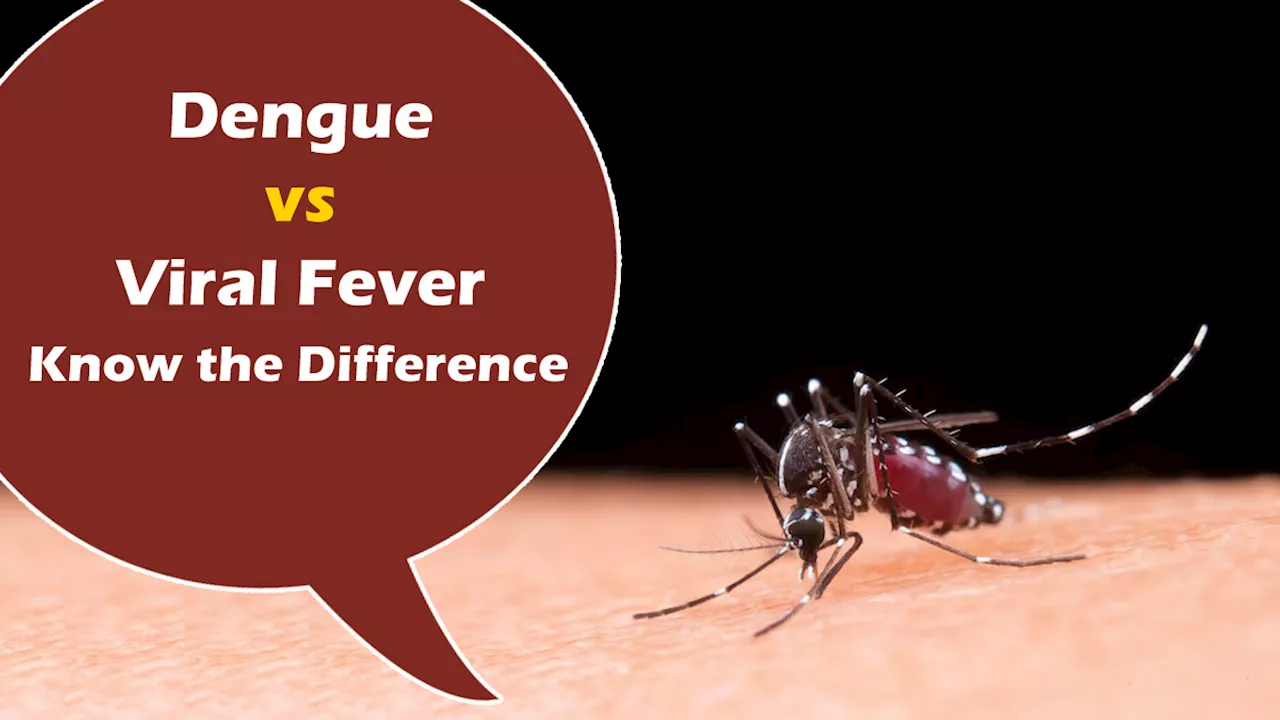 Dengue vs Viral Fever : मानसून में वायरल और डेंगू बुखार: एक जैसा दिखता है, पर है बिल्कुल अलग , कैसे करें अंतर