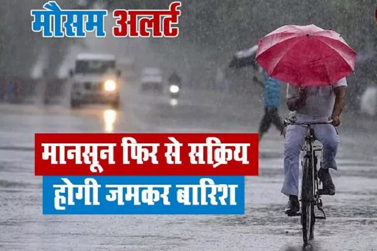 Weather Update : मानसून इन 5 संभाग में सक्रिय, अति भारी बारिश का IMD अलर्ट, जानें 6-7-8-9-10 जुलाई को कैसा रहेगा मौसम