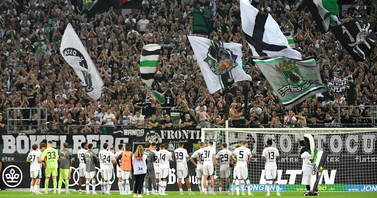 Borussia Mönchengladbach: Fan-Umfrage zu Virkus, Seoane & Co.