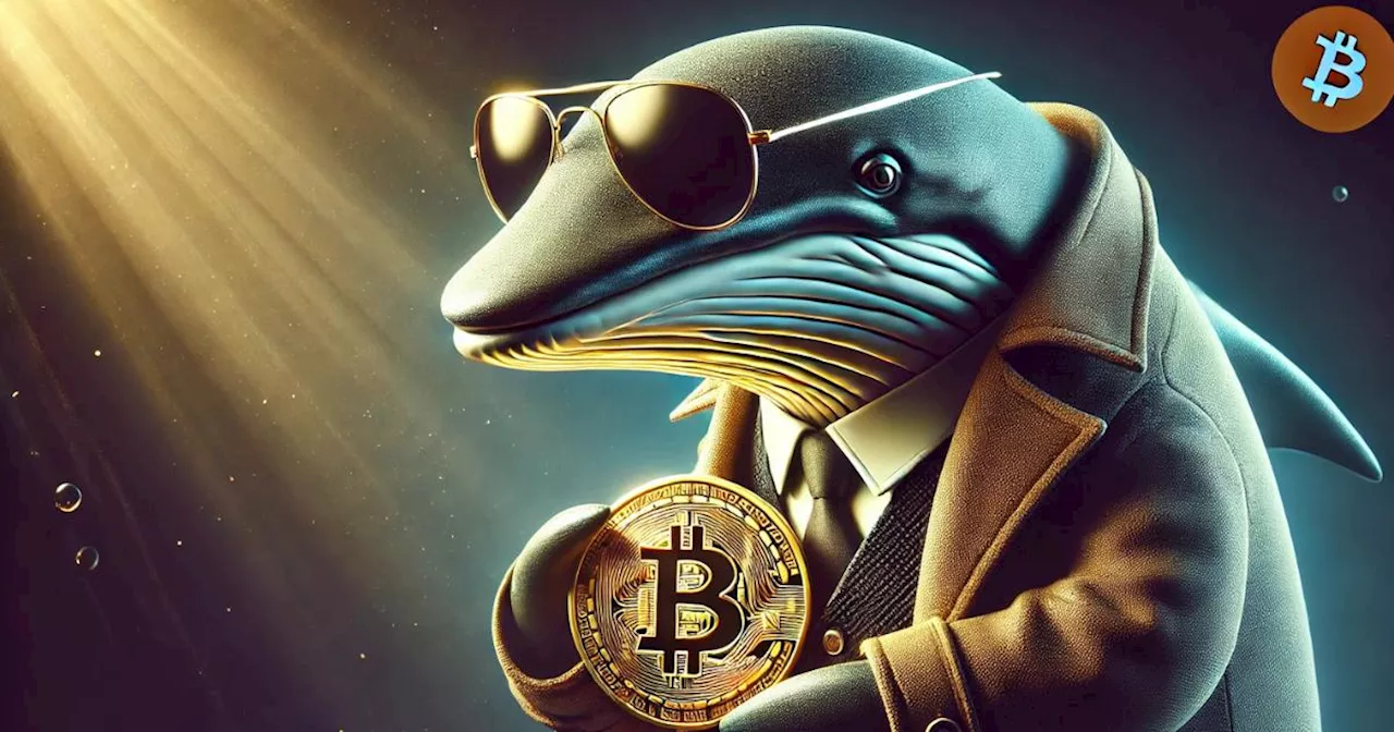 เจ้ามือ Bitcoin ลึกลับโอน Bitcoin มูลกว่า 2.2 หมื่นล้านบาท เพิ่มความไม่สบายใจให้กับนักลงทุน