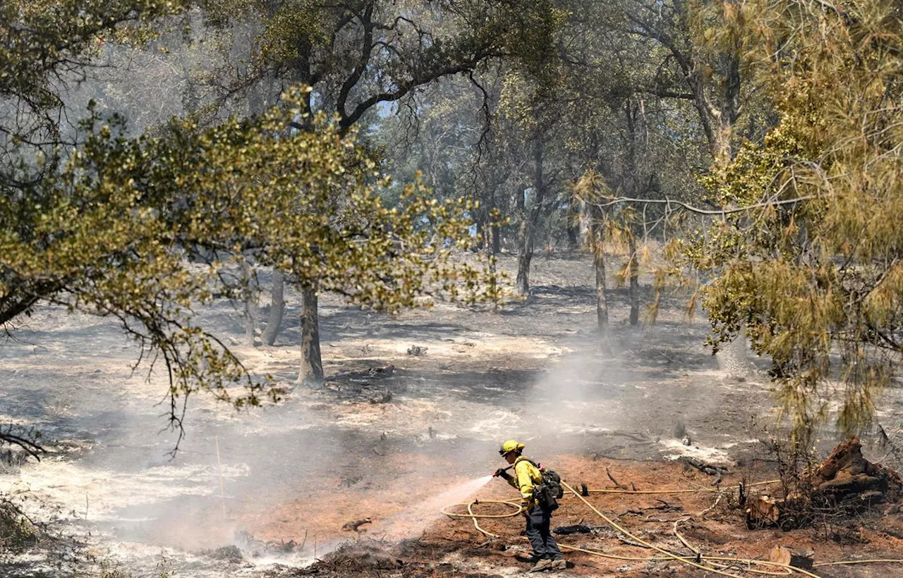 États-Unis : la Californie, en pleine vague de chaleur, voit les incendies se multiplier