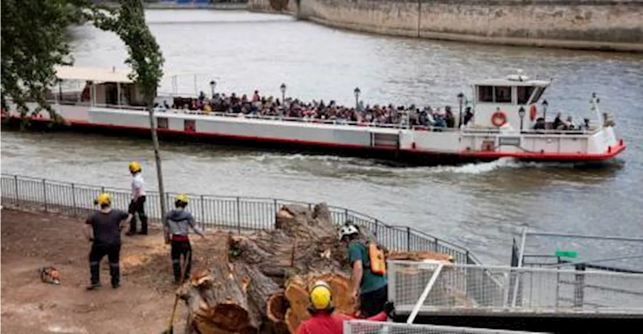 Seine water quality improves ahead of Paris Olympics: tests