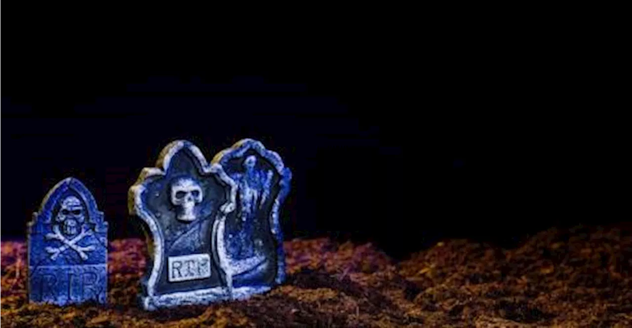 Thai-Chinese cemetery organises movie nights for the dead