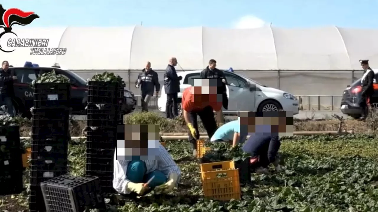 I migranti schiavizzati da mamma e figlio: turni anche di notte, alloggio senza acqua e bagni