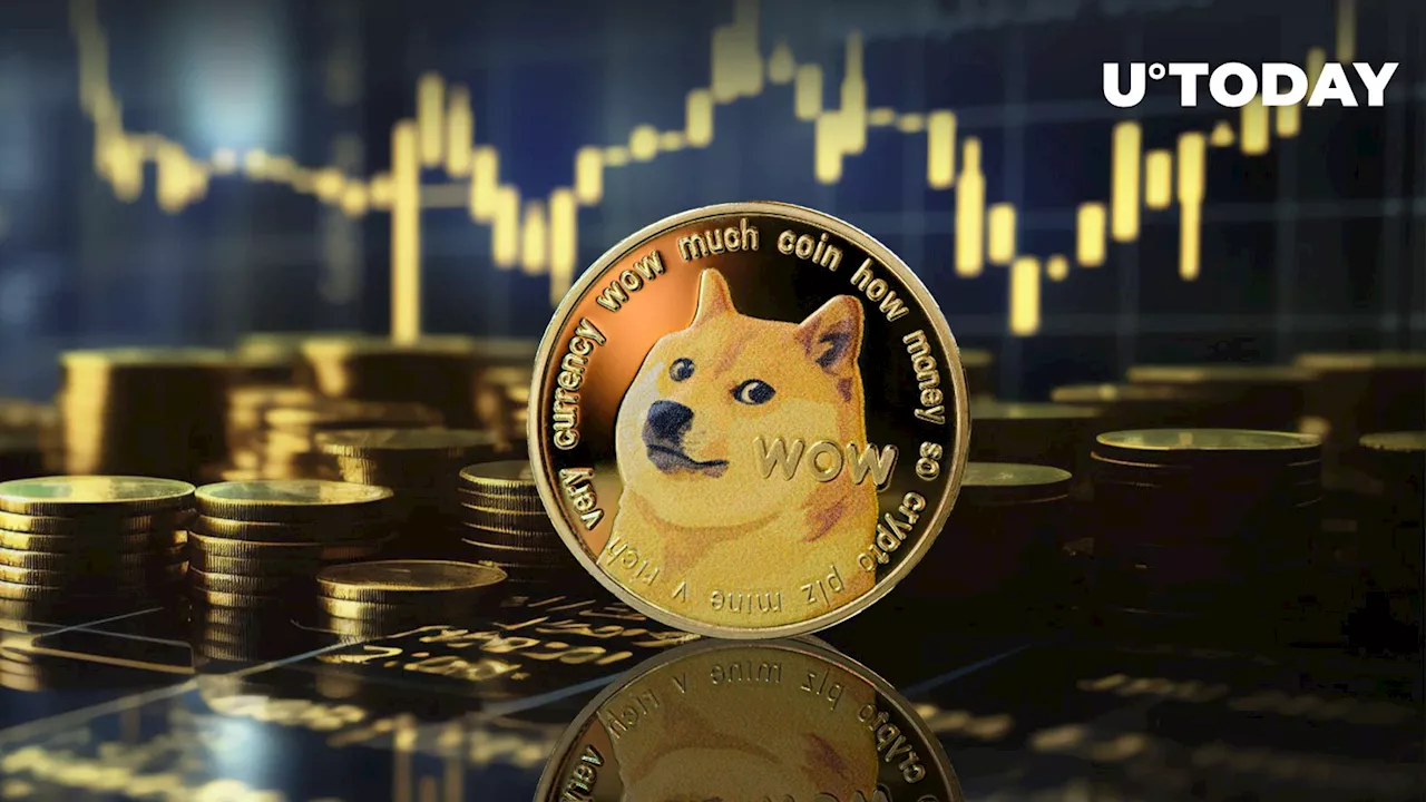 $41 Million in Dogecoin (DOGE) Sent to Major Exchange: Details