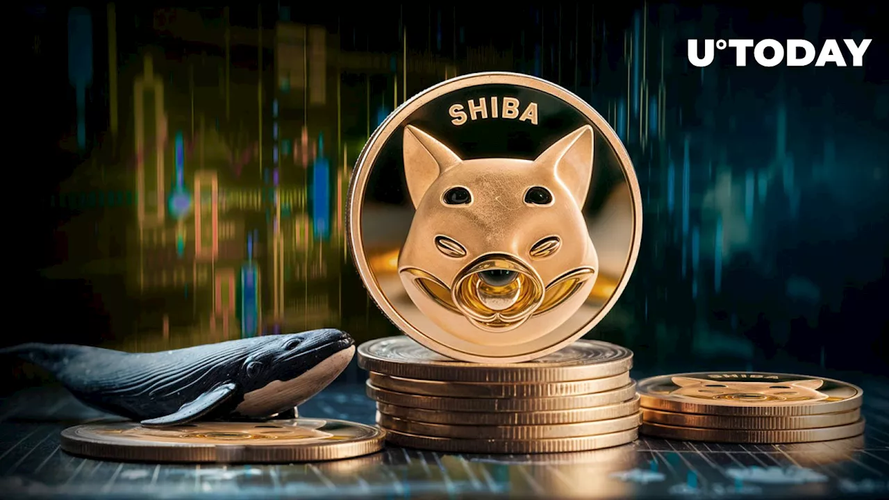 Shiba Inu (SHIB) Whales Disappeared, 15% Plummeting