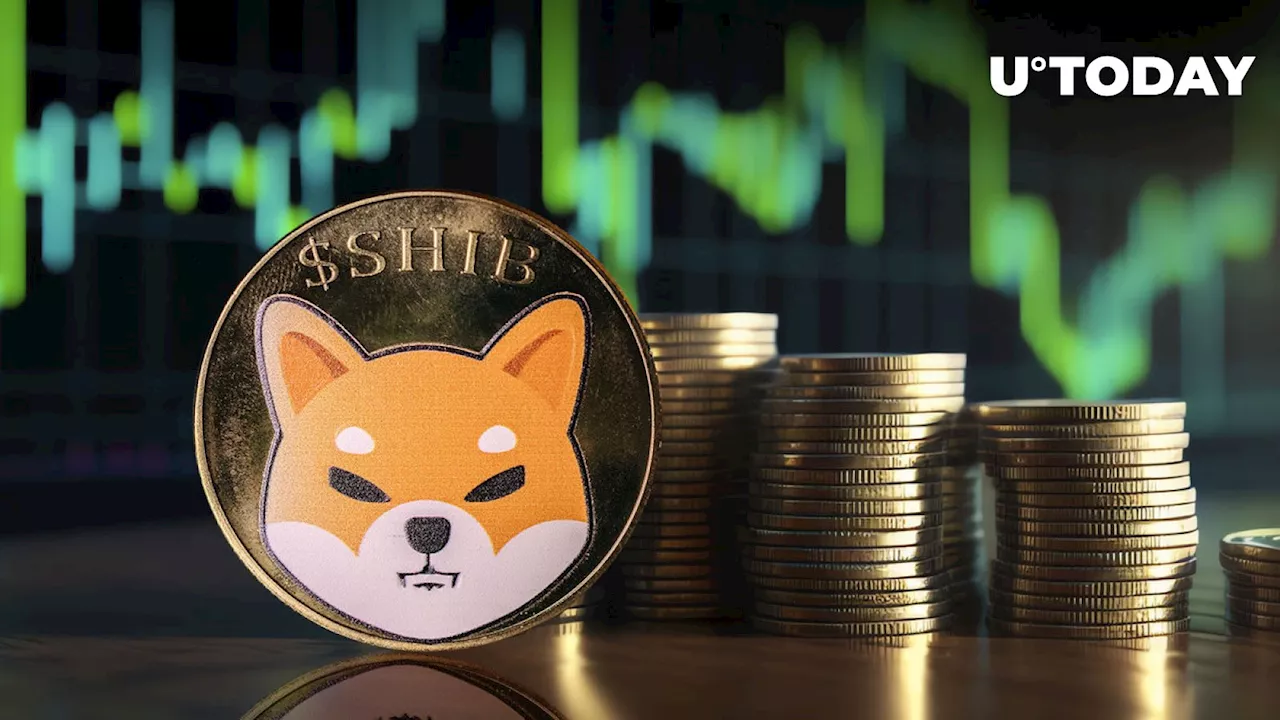 Shiba Inu Skyrockets 466% in Weekly Burns, Yet SHIB Price Drops 22%