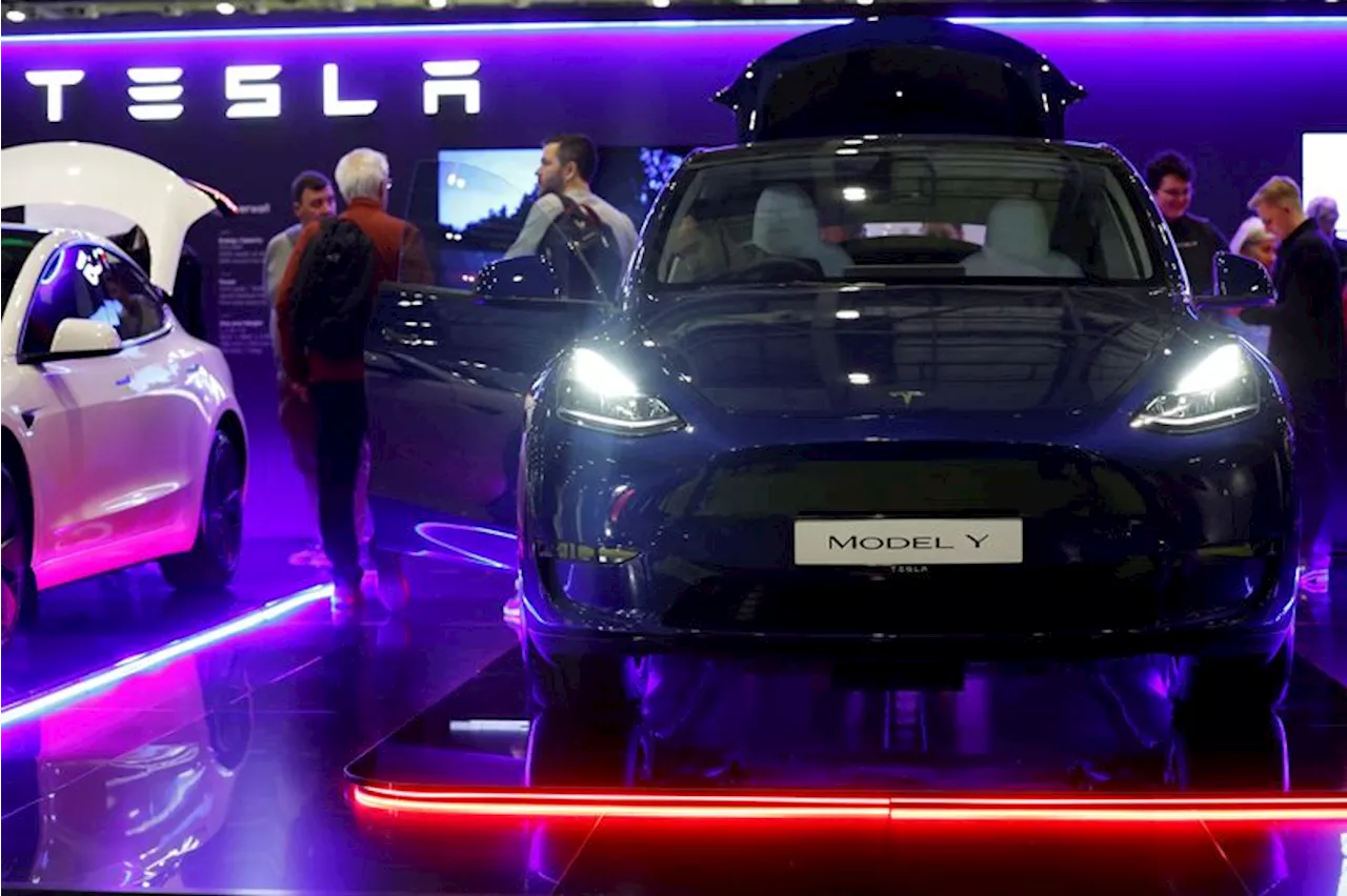 Several Chinese state firms in Shanghai buy Tesla Model Y cars