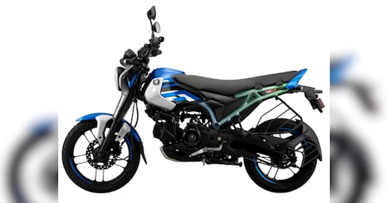 Bajaj CNG Bike: बजाज ने लॉन्च की दुनिया की पहली सीएनजी बाइक, कंपनी का दावा- चलेगी 330KM